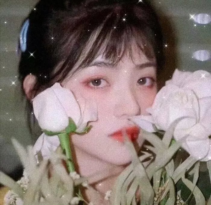 什么也不是的爱恋
